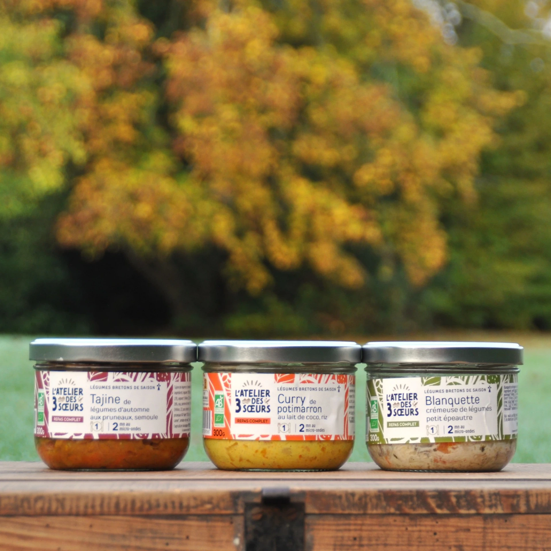 Formule 4 Plats végé de saison