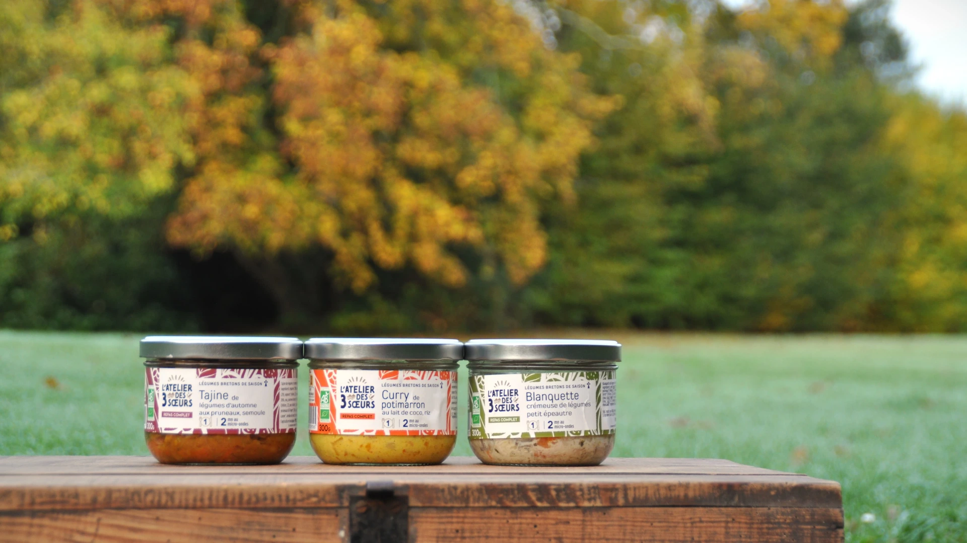 Formule 4 Plats végé de saison + 4 desserts